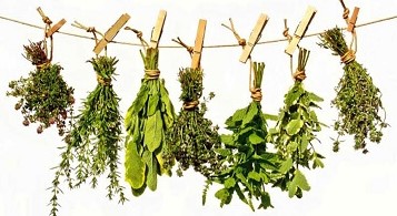 What are the herbs of this orisha