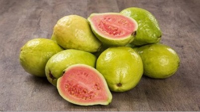 What does Lucero Mundo eat?